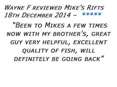 Mikes Rifts Review 21